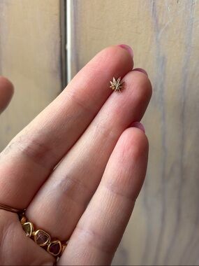 14K POT LEAF push pin